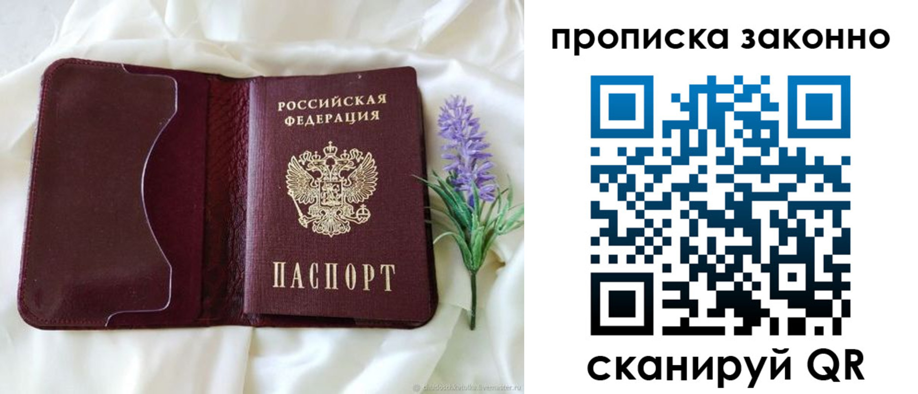 регистрация в Елизово