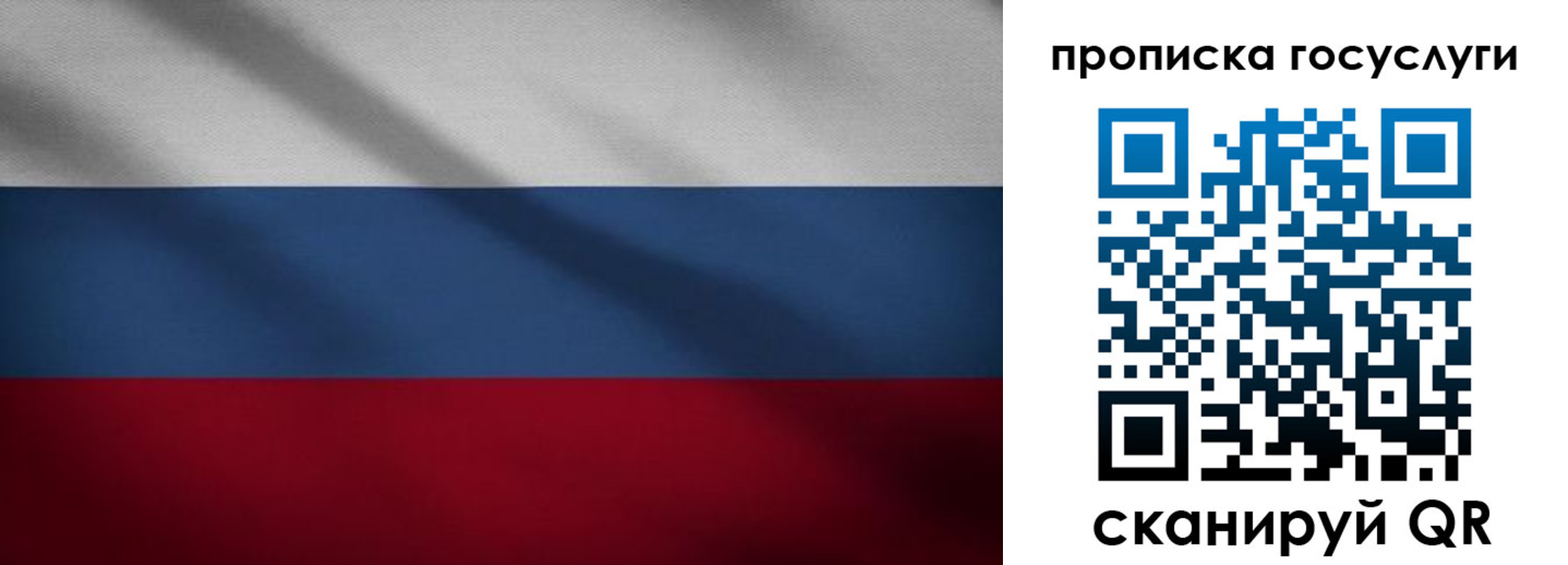 временная регистрация 2025 в Елизово